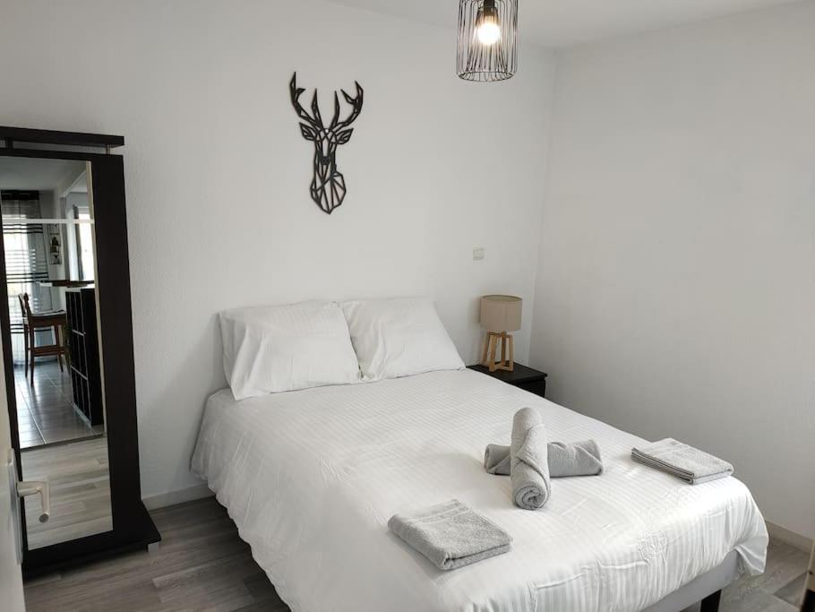 Spacieux Et Joli Appartement De 2 A 4 Personnes • Parking • Wifi Fenouillet  外观 照片