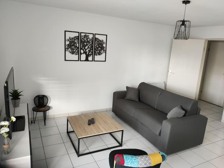 Spacieux Et Joli Appartement De 2 A 4 Personnes • Parking • Wifi Fenouillet  外观 照片