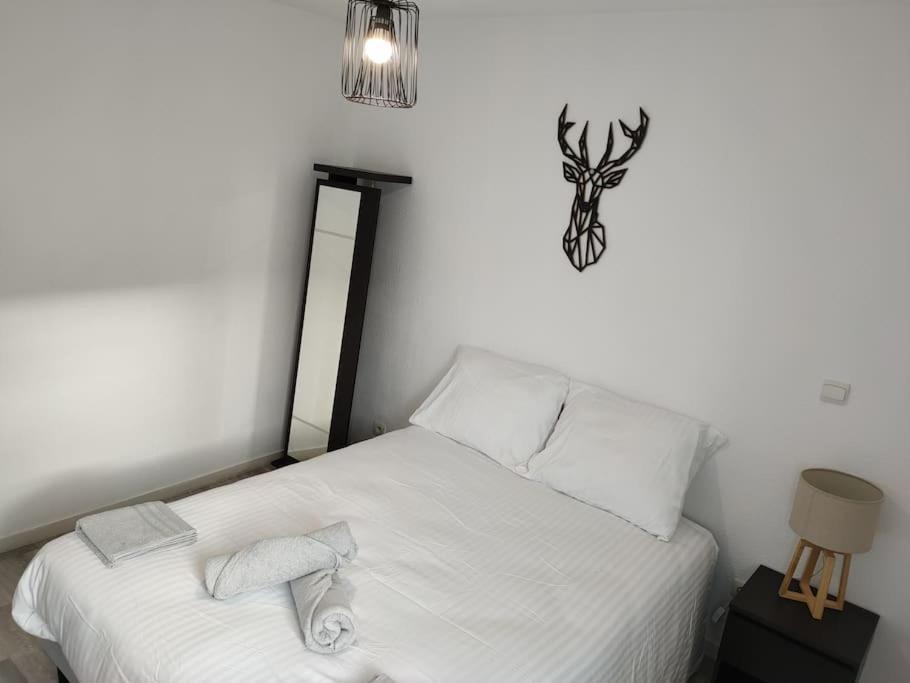 Spacieux Et Joli Appartement De 2 A 4 Personnes • Parking • Wifi Fenouillet  外观 照片